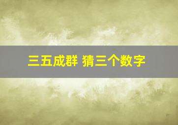 三五成群 猜三个数字